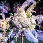 DECORACION AMBIENTACION