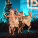 BAILE DE MASCARAS Llotja